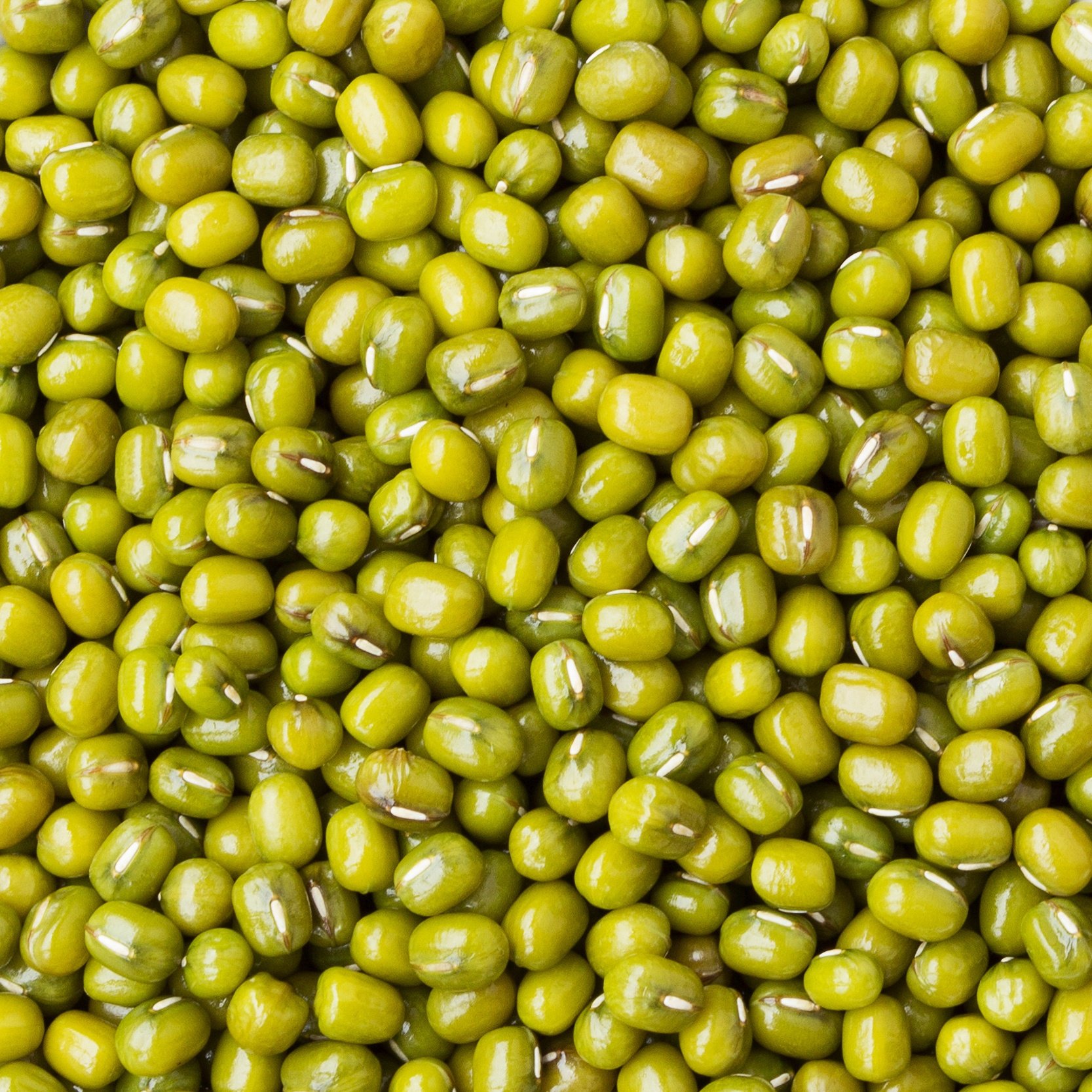 Green Mung Beans 绿豆